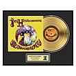 Jimi Hendrix Are You Experienced Framed Gold Record